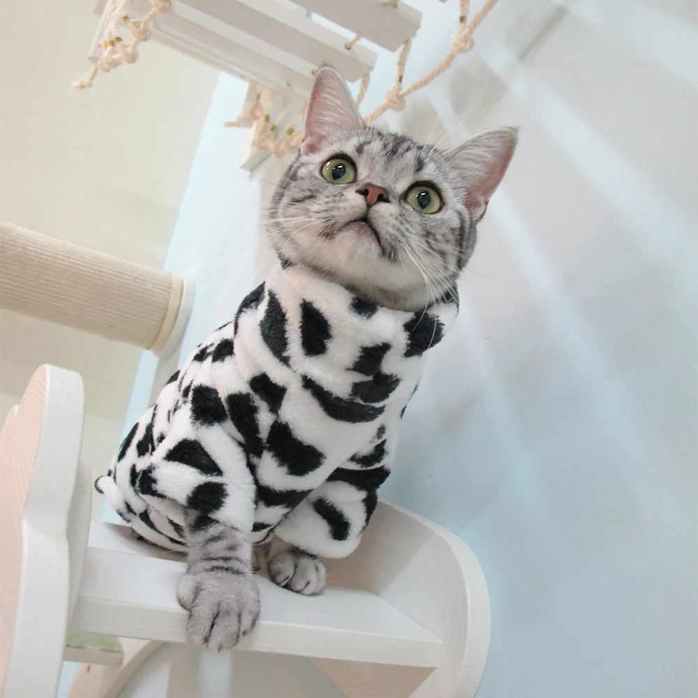 Cat Warm Sweater