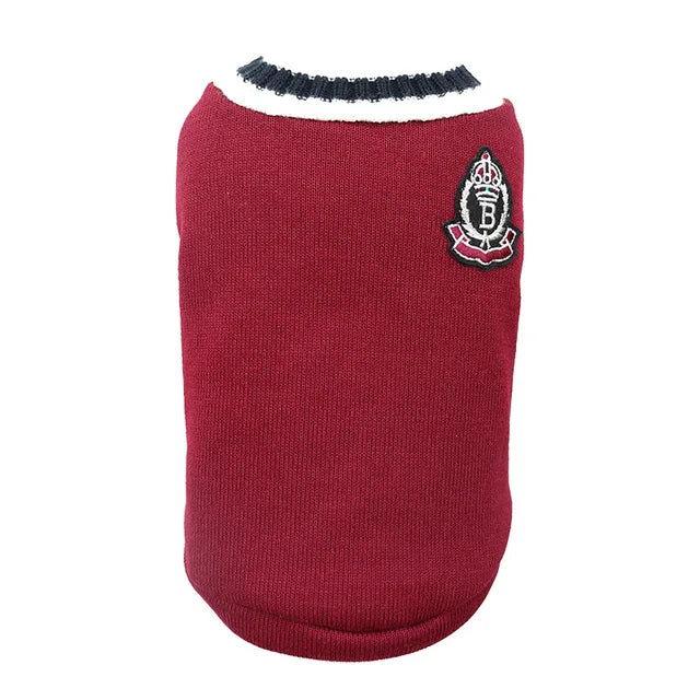 Cat School Boy Jersey