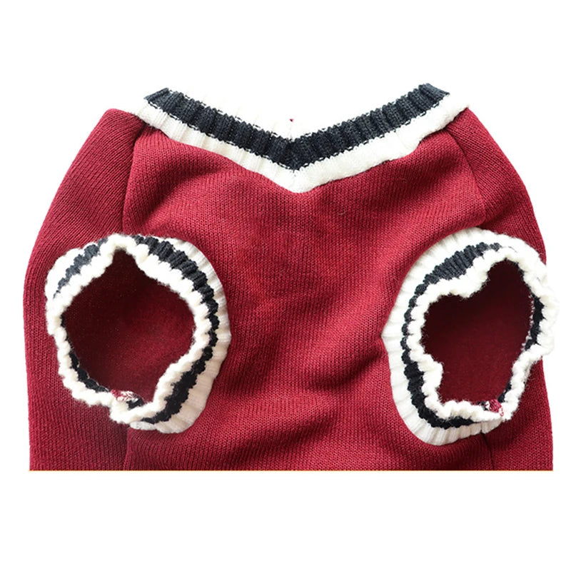 Cat School Boy Jersey
