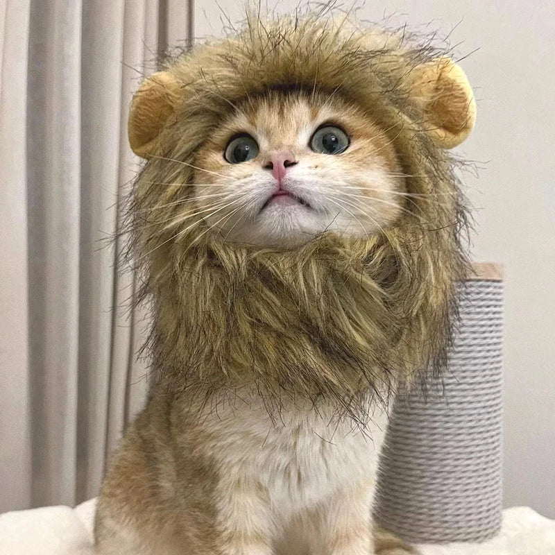 Cat Lion Hat