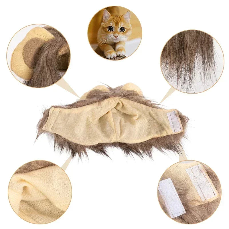 Cat Lion Hat