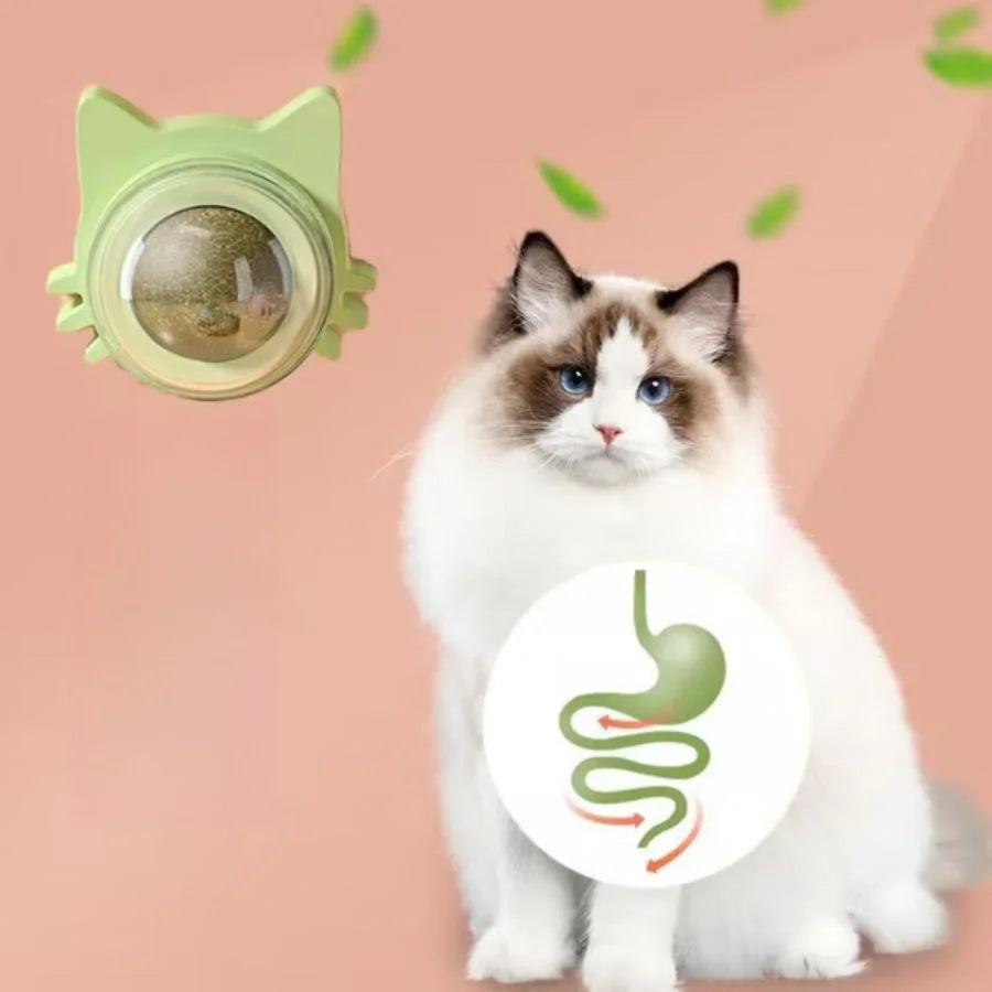 Catnip Lick Ball