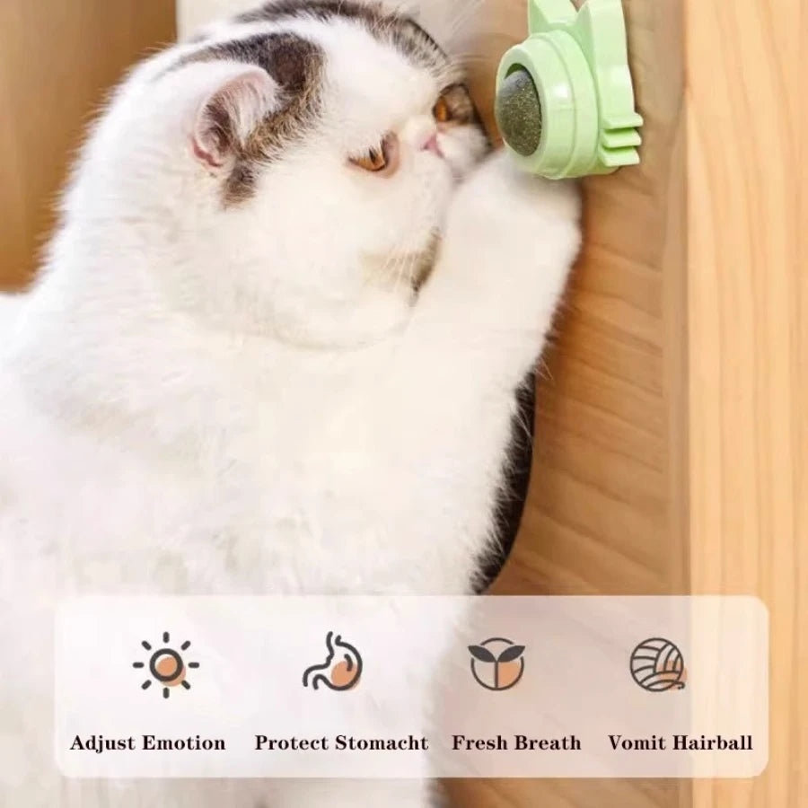 Catnip Lick Ball