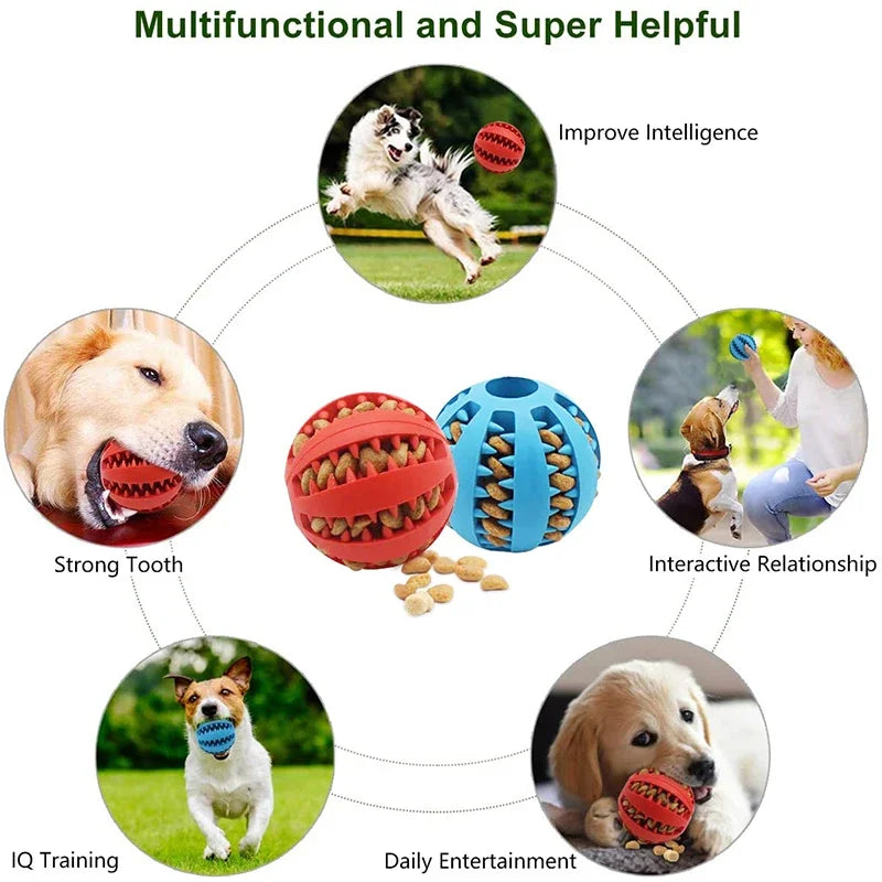 Dogs Ball Interactive Toy