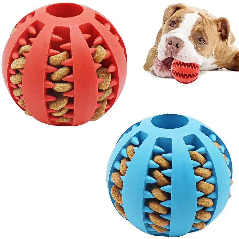 Dogs Ball Interactive Toy