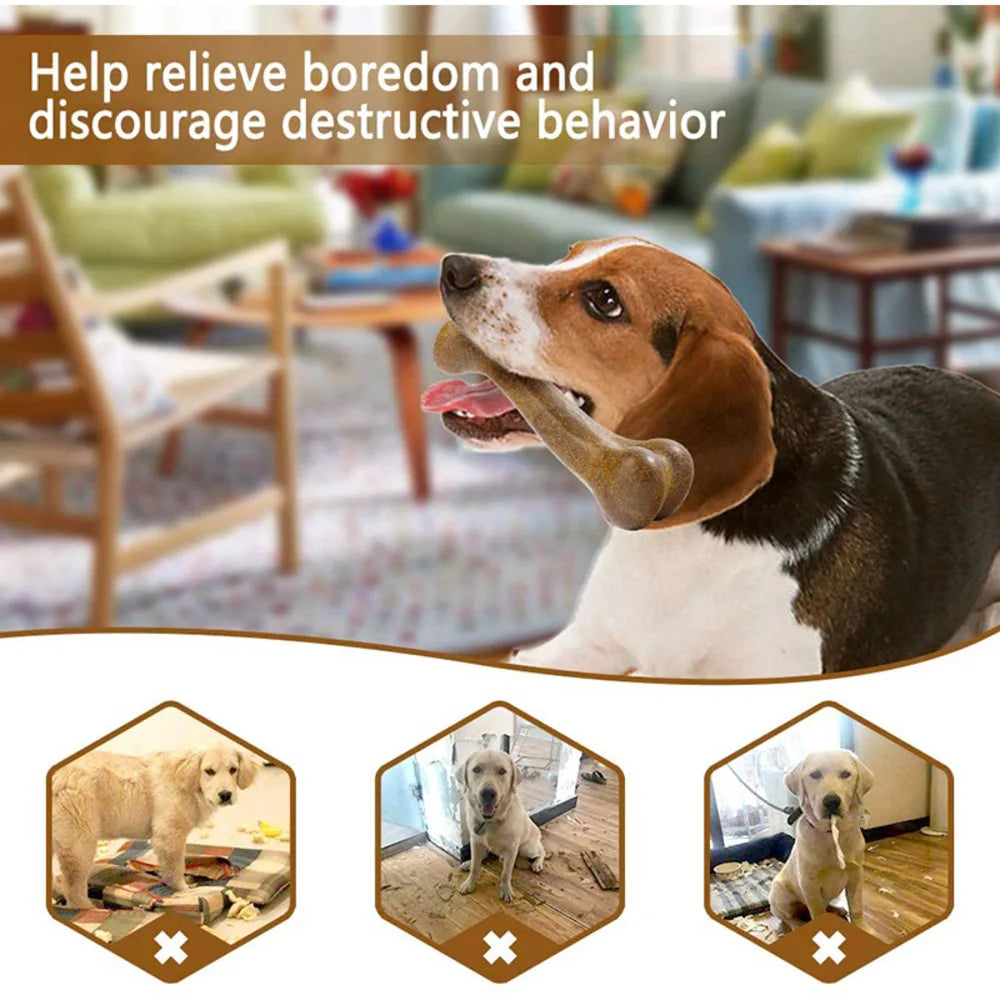 Dog Bone Chew Toy