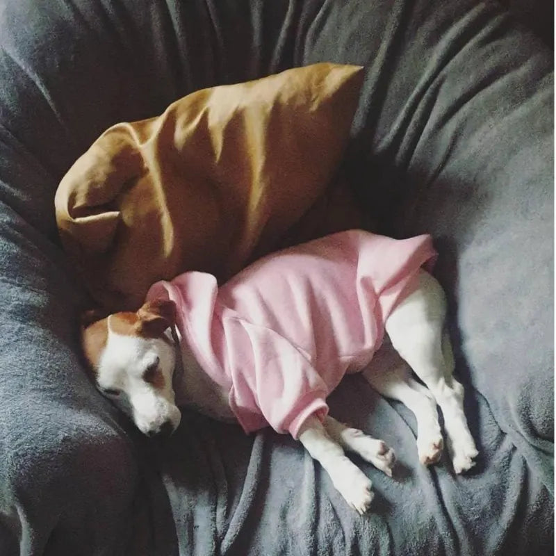 The Dog Face Hoodies