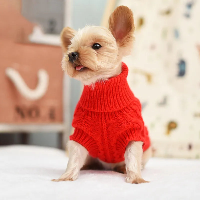 Knitted Sweater Small Dogs