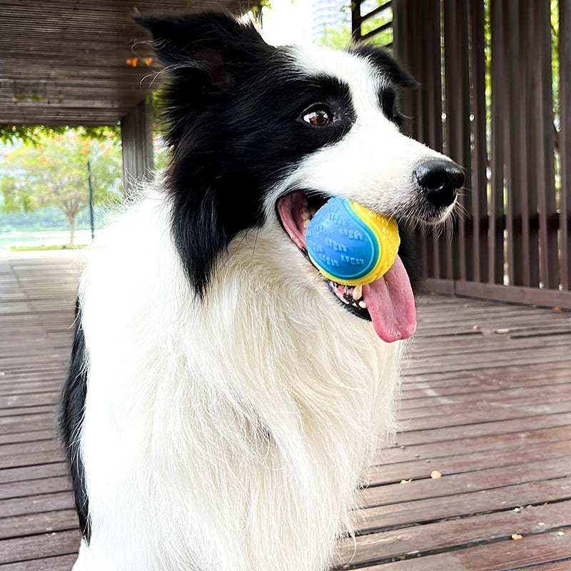 Dogs TPR Ball Toy
