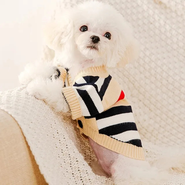 Cute Jersey For Small Dog