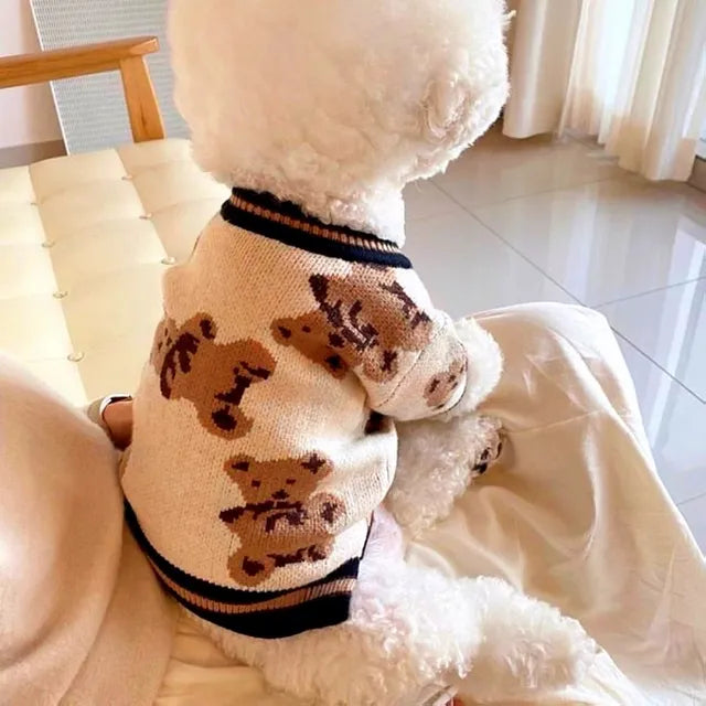 Cute Jersey For Small Dog
