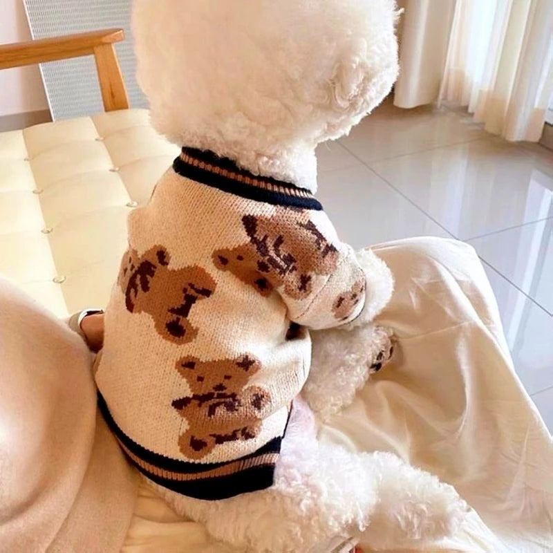 Cute Jersey For Small Dog