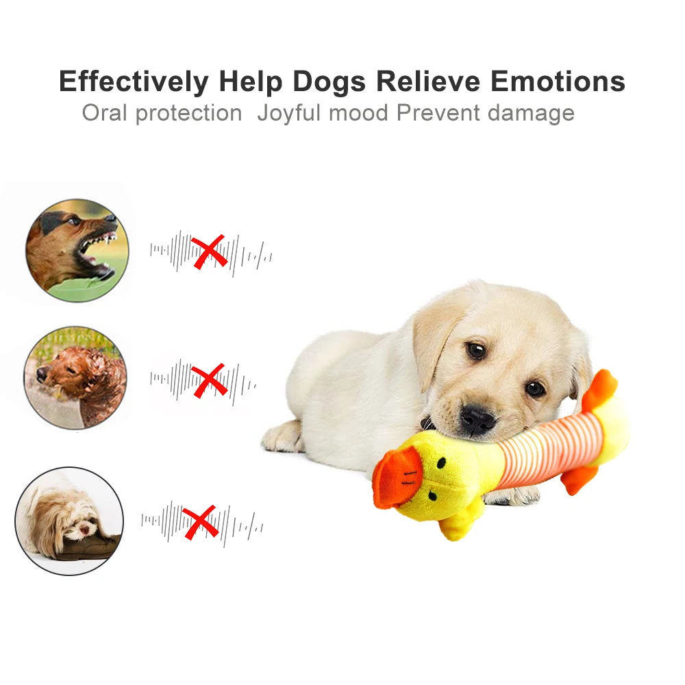 Dog Squeak Plush Toy