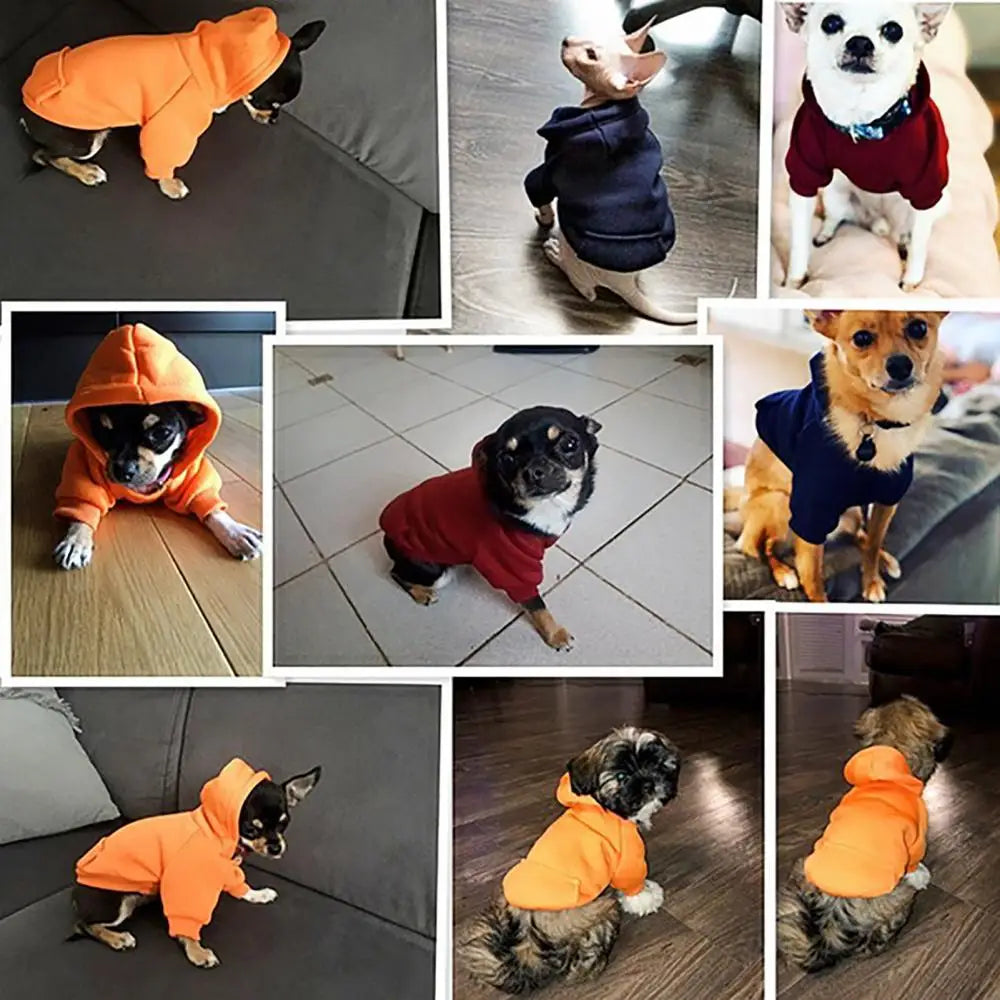 Puppy Hooded Sweatshirt